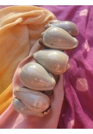 BR309 bracelet coquillage ecargot blanc