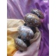 BR311 bracelet coquillage tachete marron