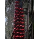 CO500 sautoir graine rouge et perles de verre