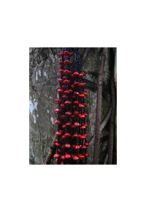 CO500 sautoir graine rouge et perles de verre