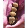 BR7081 bracelet os de buffle nepalais tibet creme